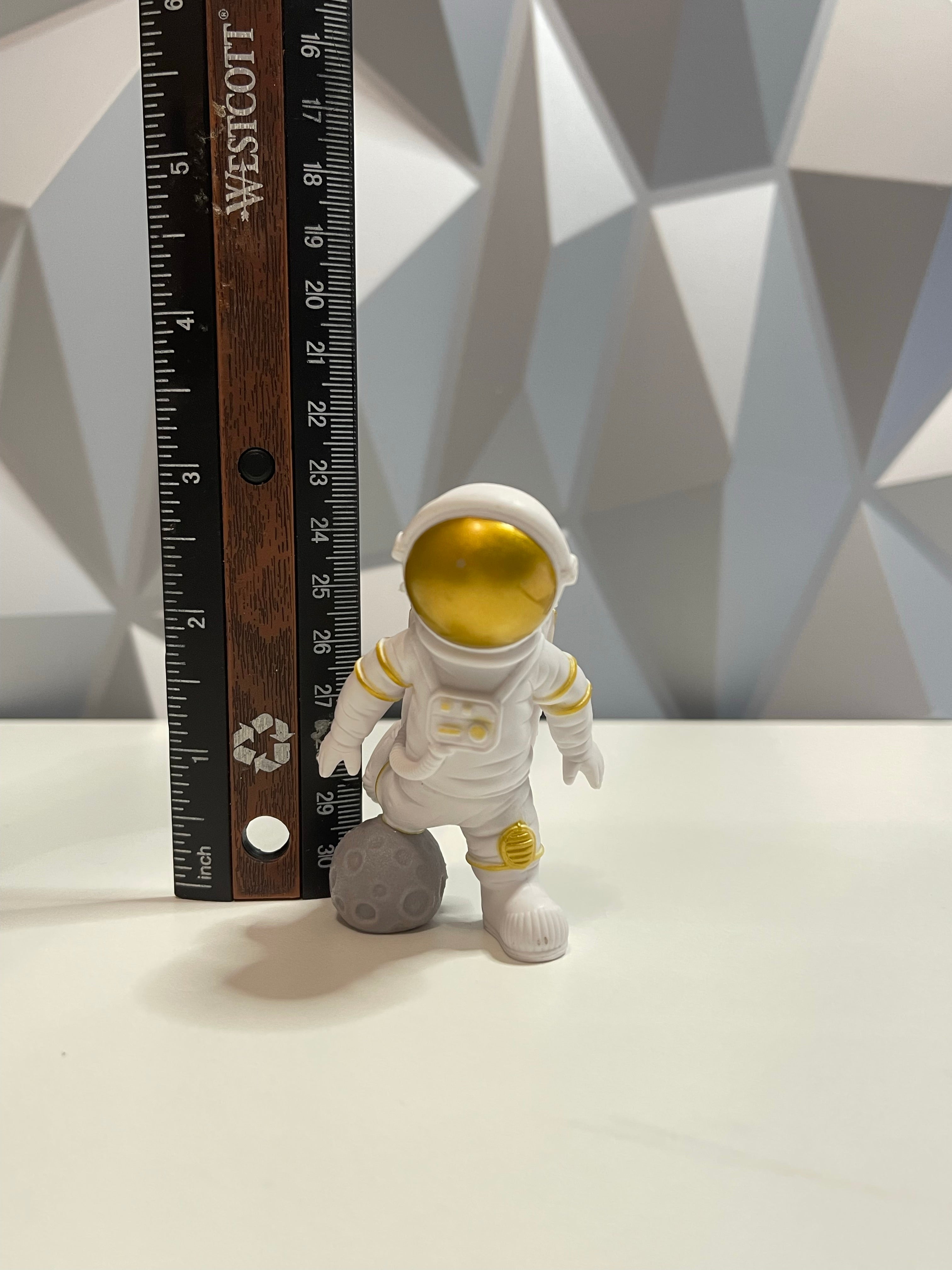 Crypto Moon Mission Astronaut - Crypto Coin Display